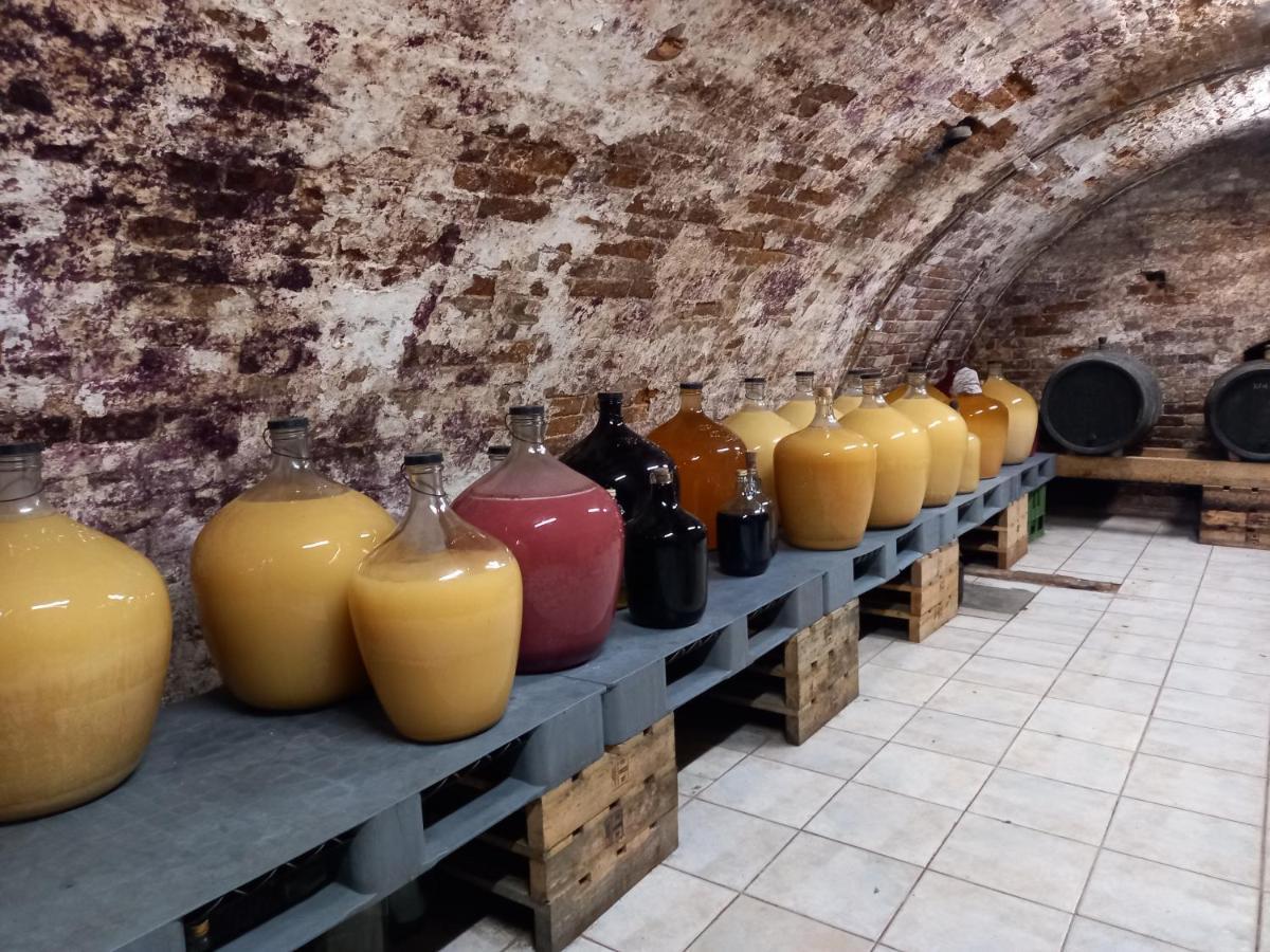 Alegria Natur Apartments ミクロフ エクステリア 写真